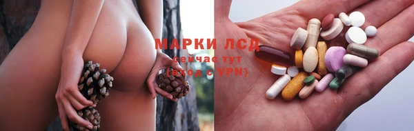 винт Пересвет