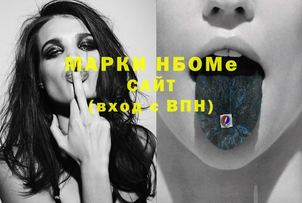 винт Пересвет