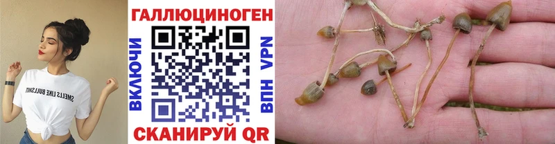 как найти закладки  Трёхгорный  Галлюциногенные грибы мицелий 